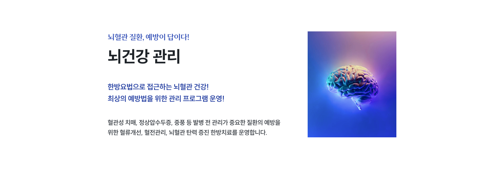 뇌 건강 클리닉 2