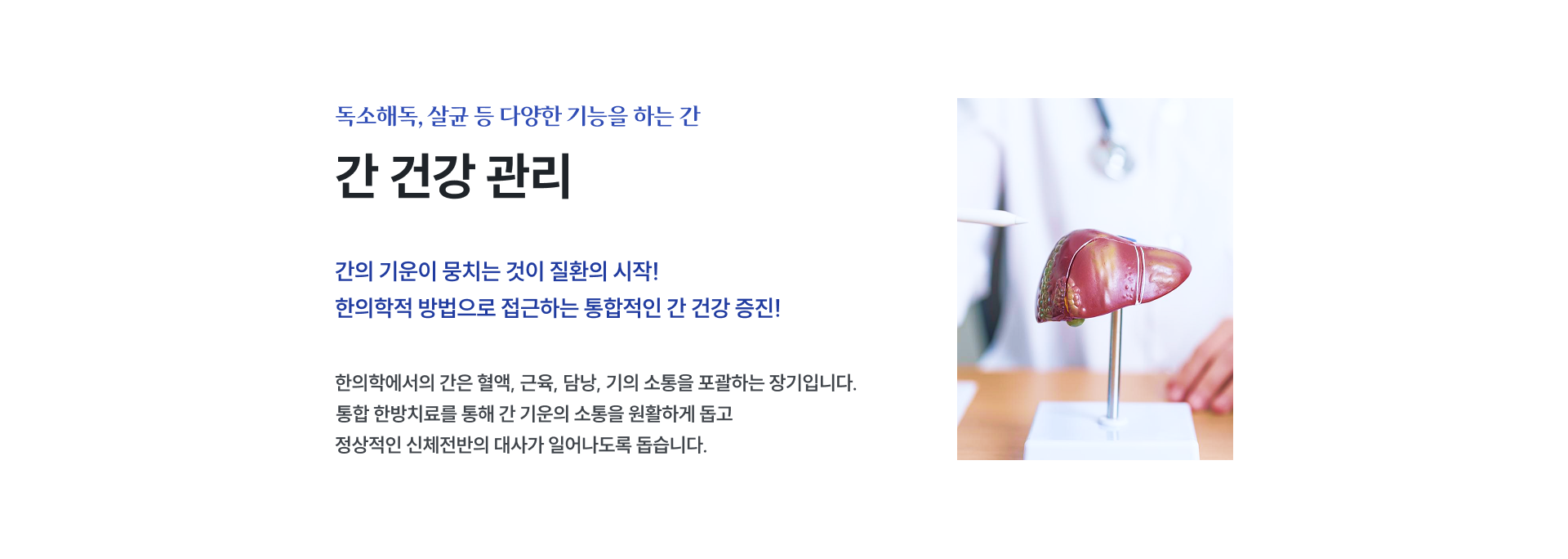 간 해독 클리닉 2